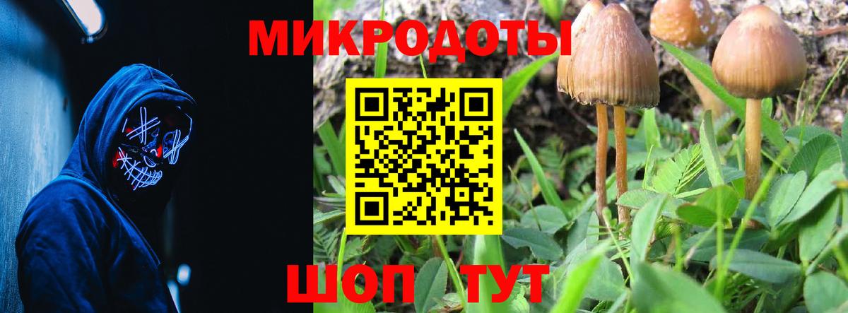 Галлюциногенные грибы MAGIC MUSHROOMS  Вход с VPN  Черняховск  Галлюциногенные грибы MAGIC MUSHROOMS 